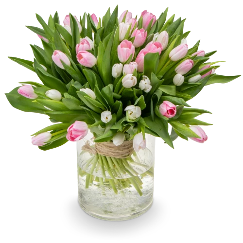 Kytice tulipánů
